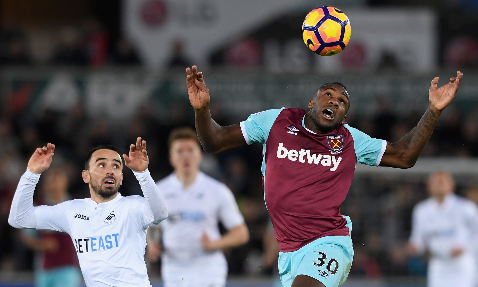 我们不仅理 我们不仅理